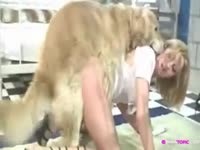 Pretty blonde got fucked in doggystyle position by dog